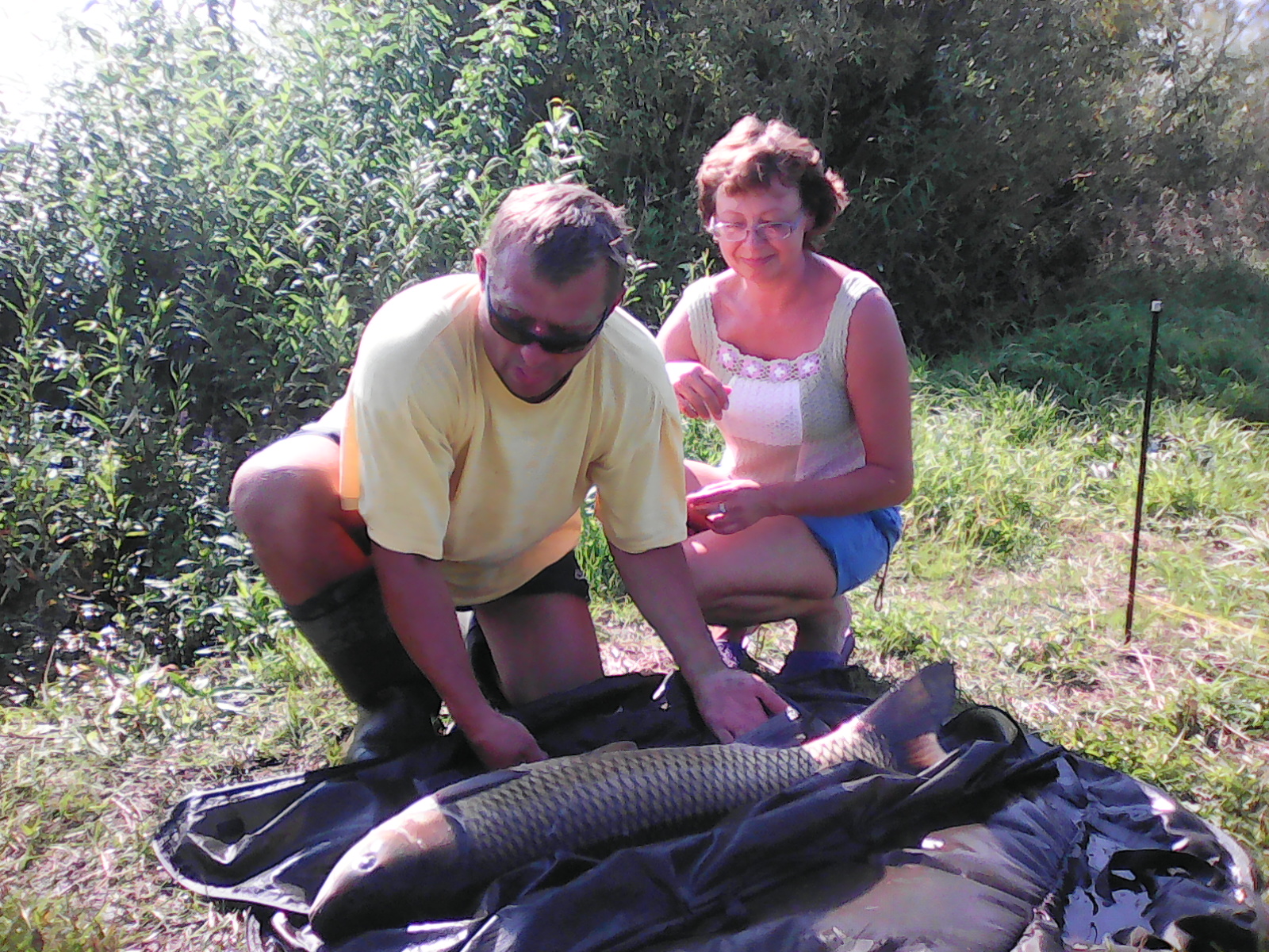 IMG_20160826_123147[1].jpg