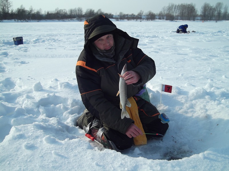 Андрей Комаров.jpg