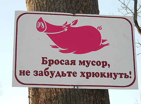 getImage (2).jpg