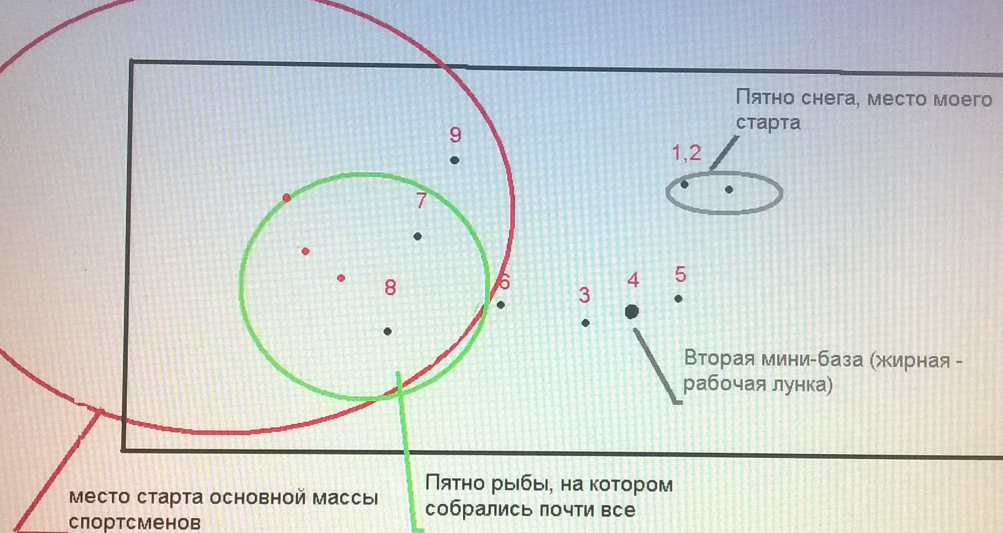 WP_20170404_001.jpg