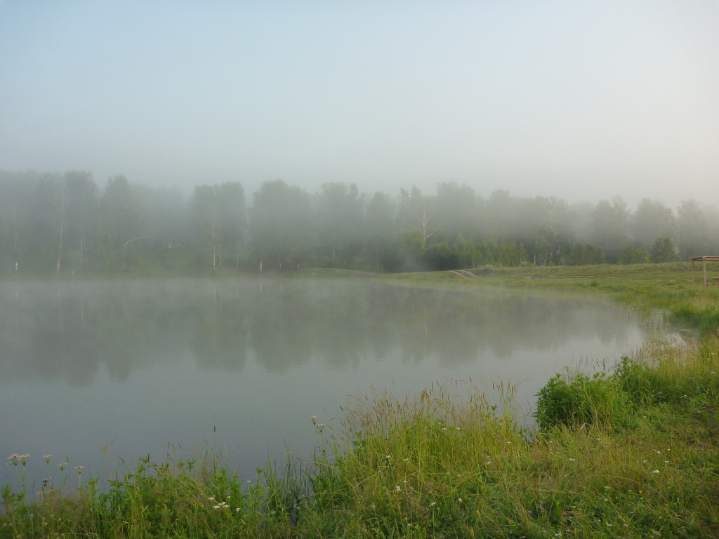 P1000670_1.jpg