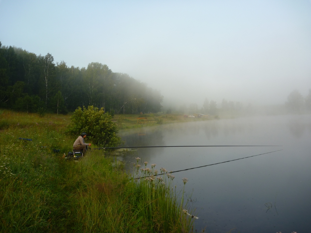 P1000672_1.jpg