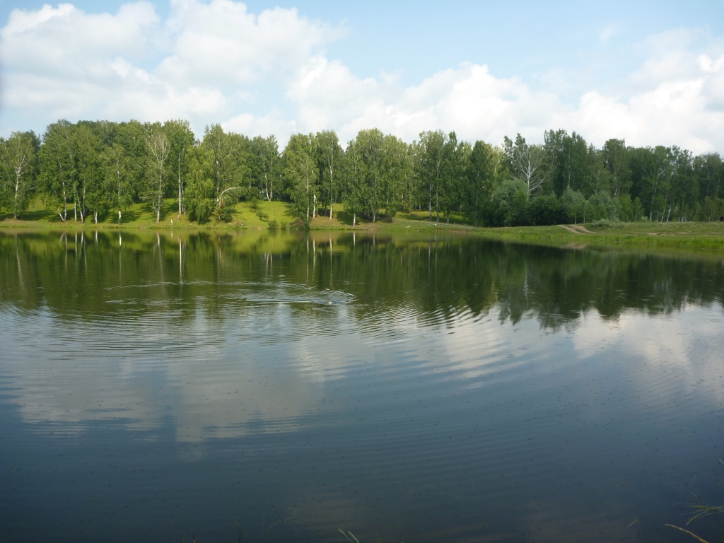 P1000675_1.jpg