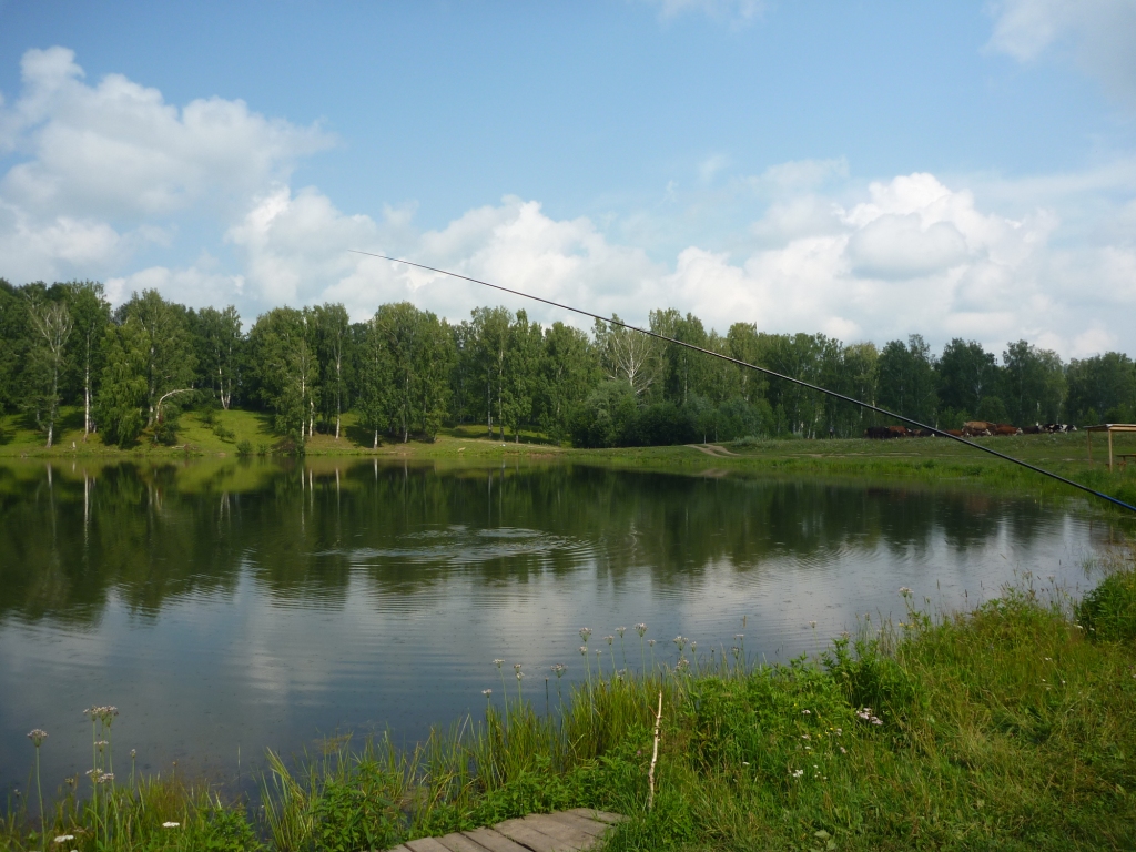 P1000674_1.jpg