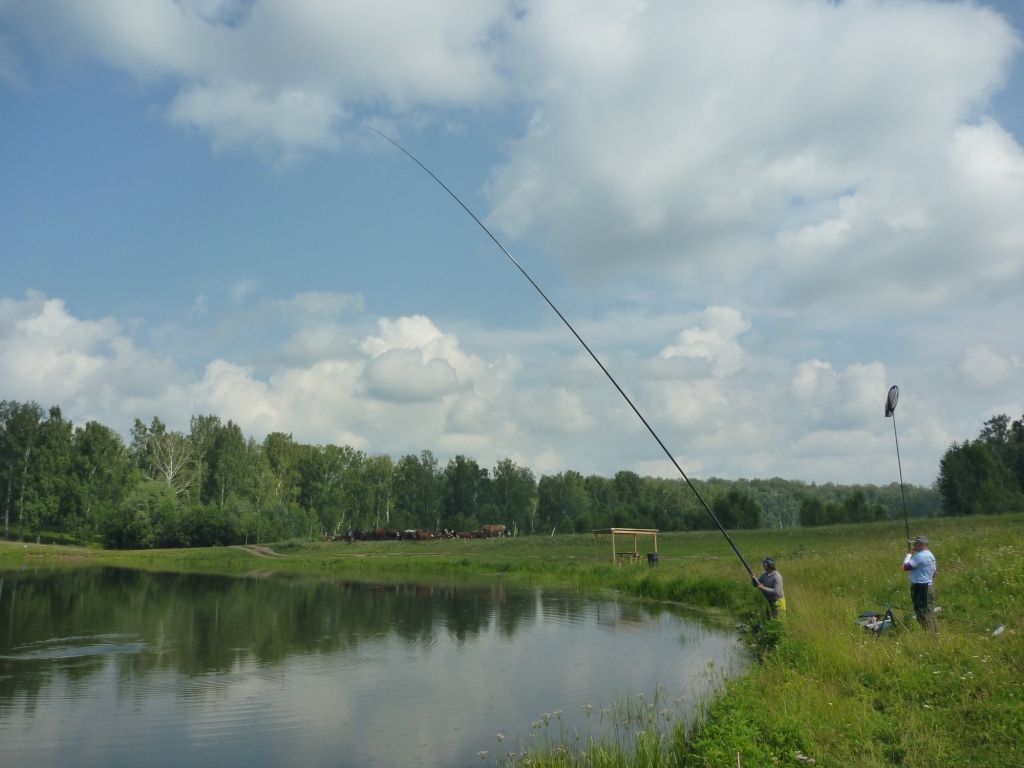 P1000673_1.jpg