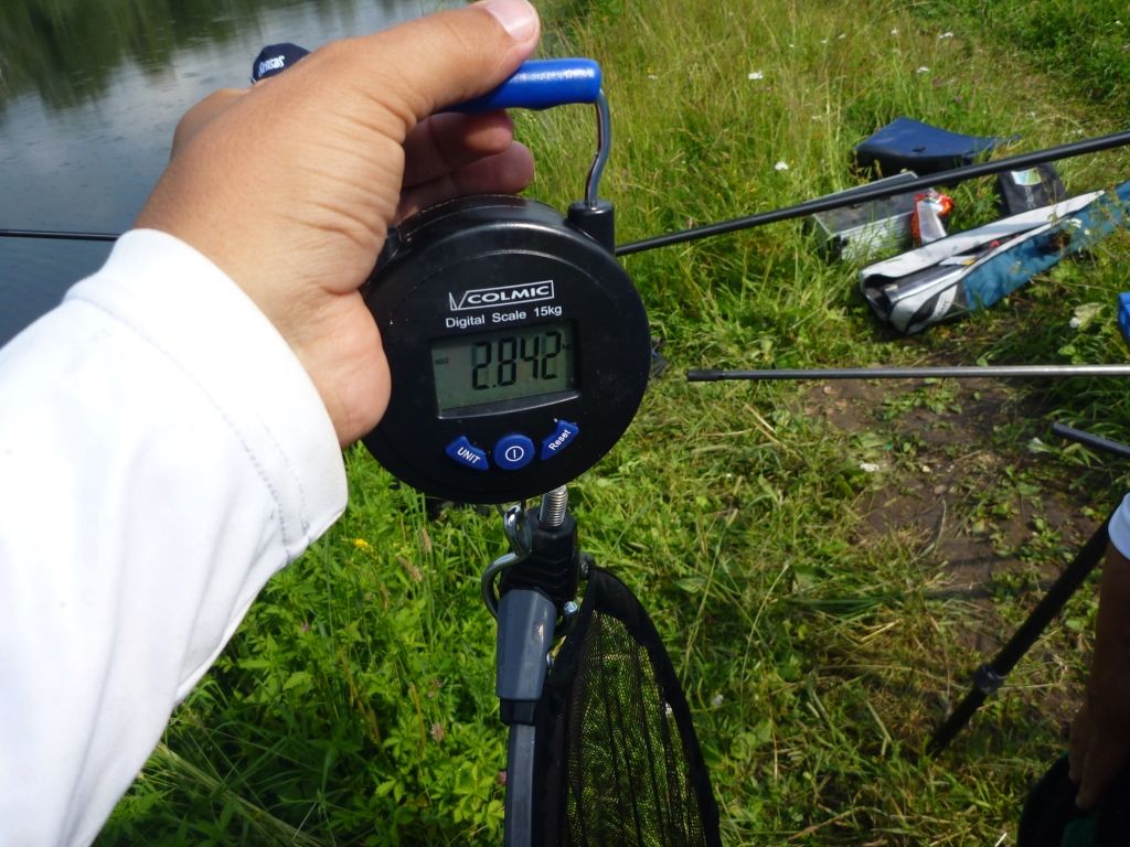 P1000678_1.jpg