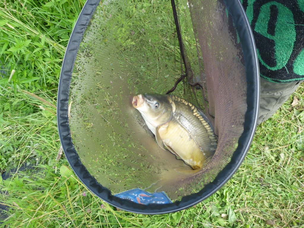 P1000677_1.jpg