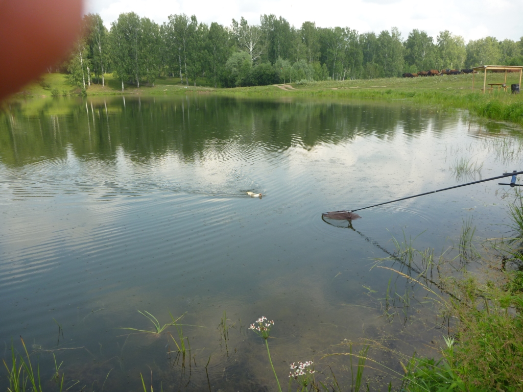 P1000676_1.jpg