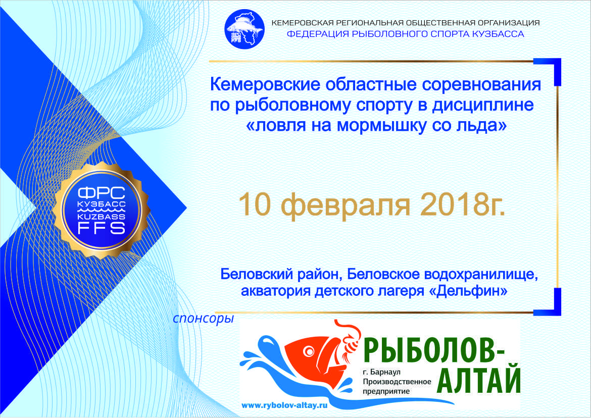 баннер Кемеровские областные 10.02.2018.jpg