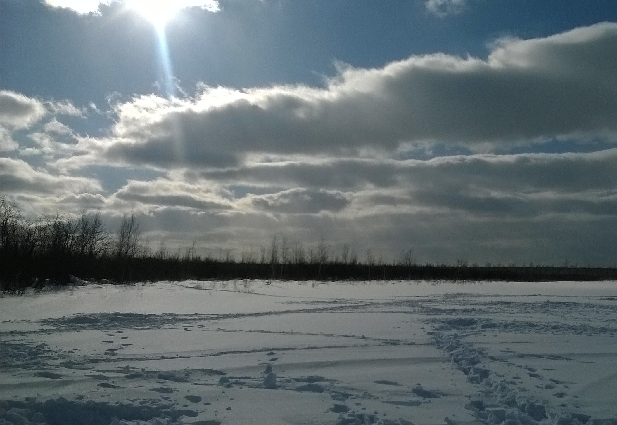 WP_20180309_002.jpg