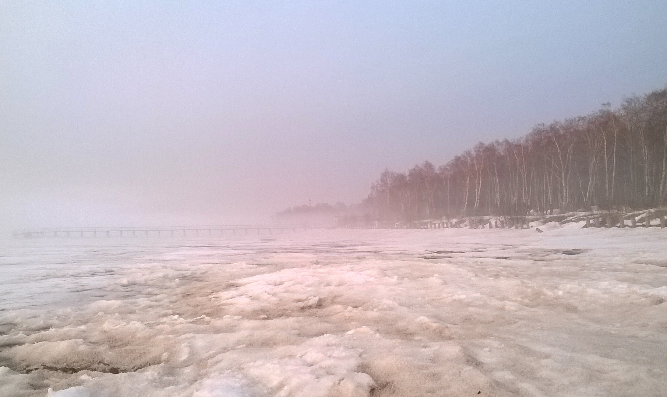 WP_20180412_011.jpg