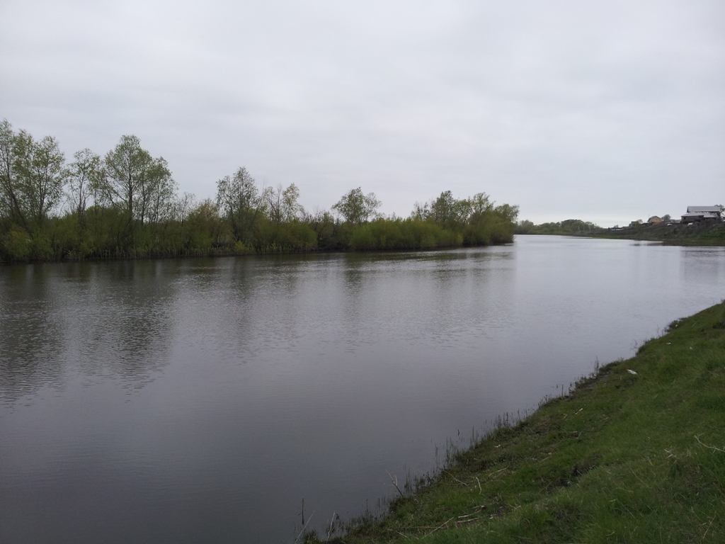 20130601_063216.jpg