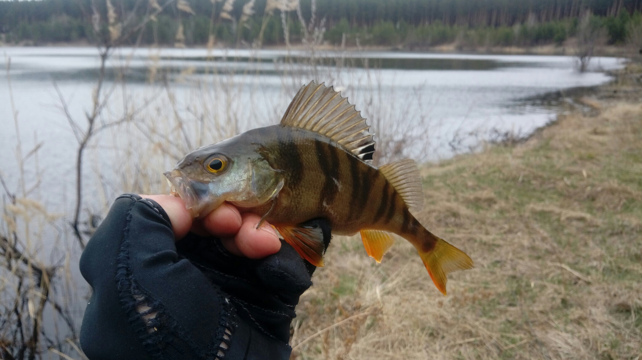 20180505_084712.jpg