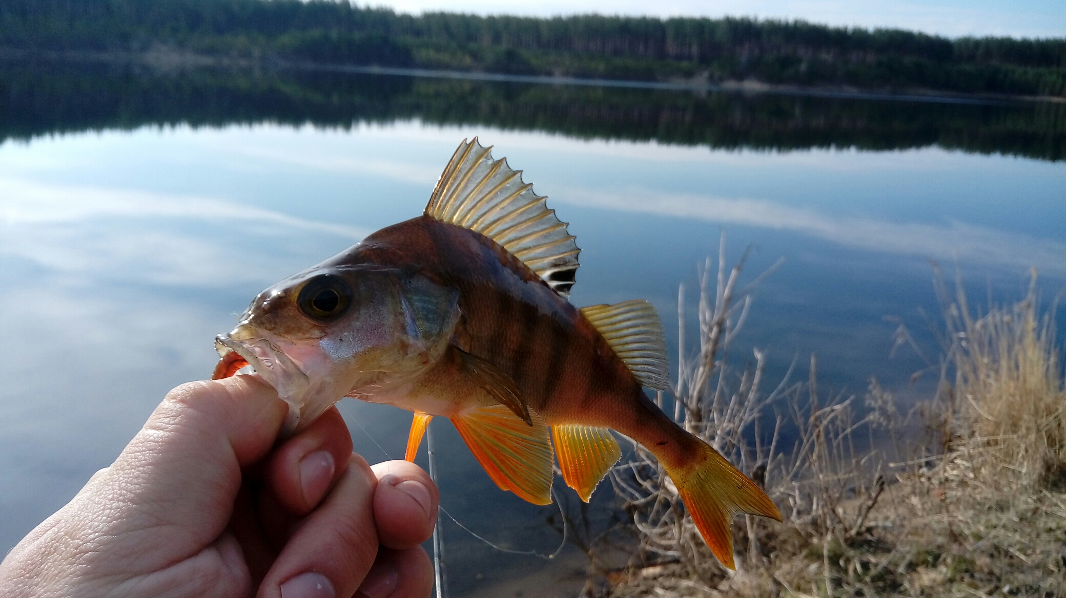 20180512_083813.jpg
