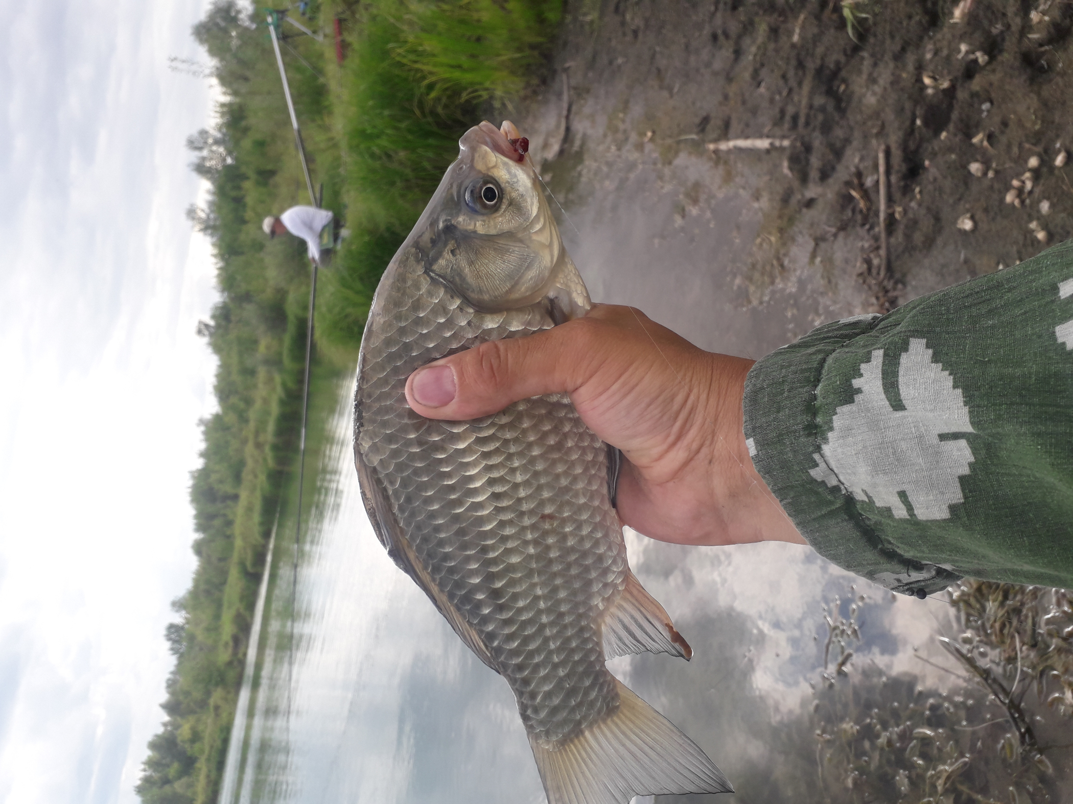 20190810_153515.jpg