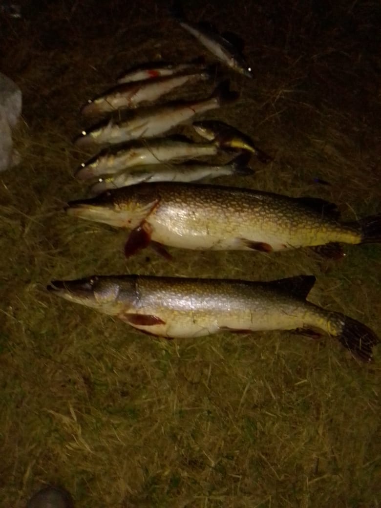 IMG-20201017-WA0000.jpg
