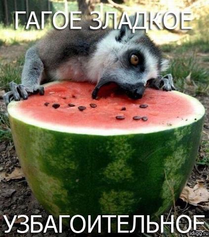узбагоительное.jpg