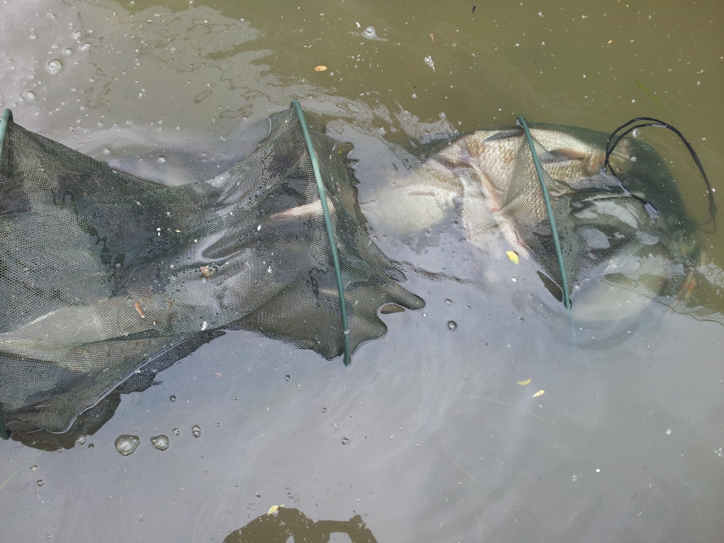 20130629_150056.jpg