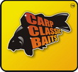 ccb_logo22.jpg