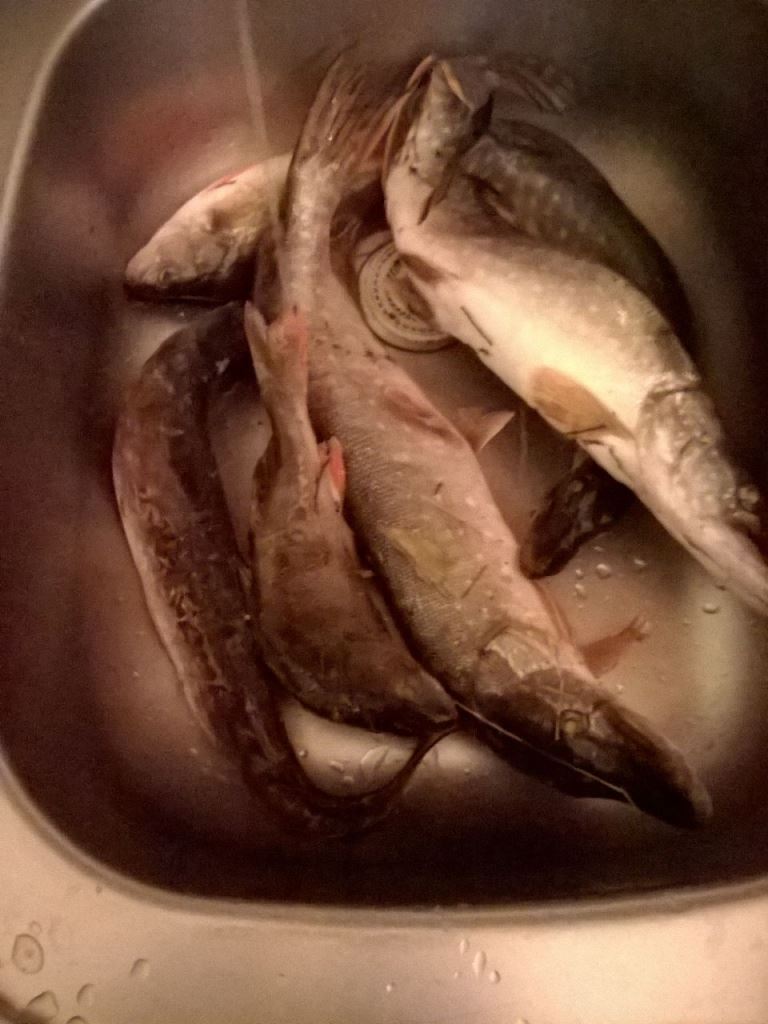IMG-20160430-WA0036.jpg